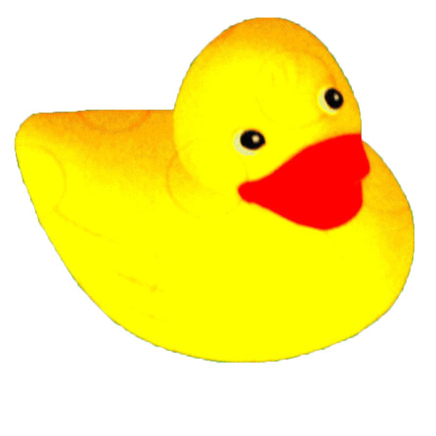 Animated GIF coloured ducks