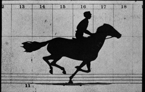 Animated GIF of horse running